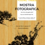 Young trees - Mostra fotografica